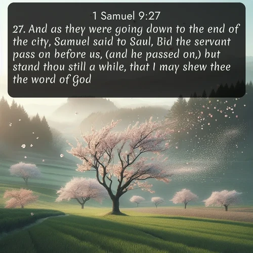 citation biblique : 27. And as they were going down to the end of the city, Samuel said to Saul, Bid the servant pass on before us, (and he passed on,) but stand thou still a while, that I may shew thee the word of God.
 sur fond image nature