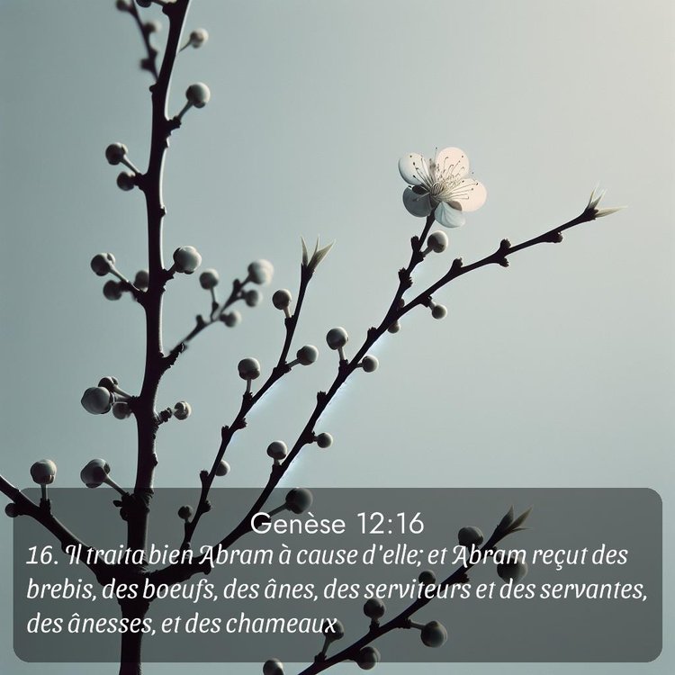 image nature avec verset biblique de la Bible