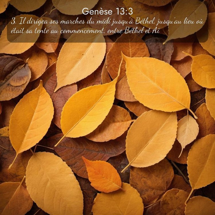 Segond Genèse 13:3