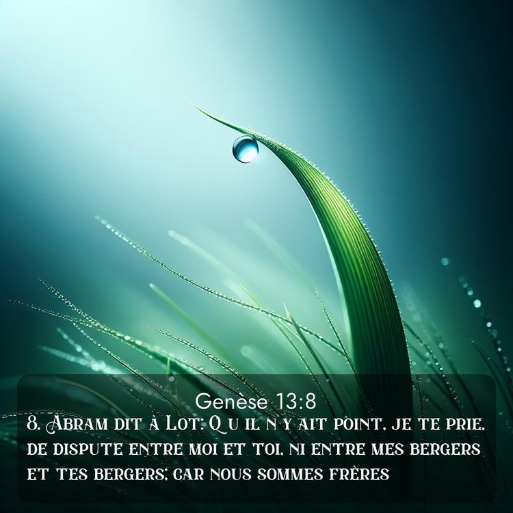 Segond Genèse 13:8