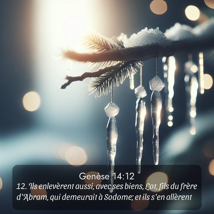 Segond Genèse 14:12