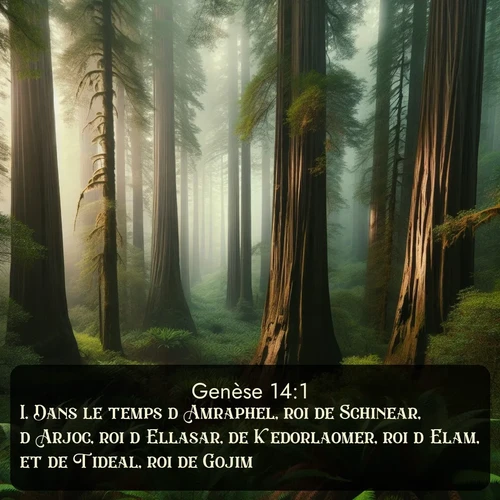 Segond Genèse  ; image nature: image avec le verset biblique :Dans le temps d&#039;Amraphel, roi de Schinear, d&#039;Arjoc, roi d&#039;Ellasar, de Kedorlaomer, roi d&#039;Elam, et de Tideal, roi de Gojim, ;  ; 14:1