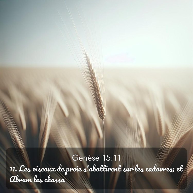 Segond Genèse 15:11