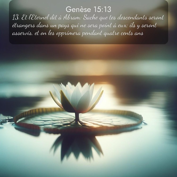 Segond Genèse 15:13