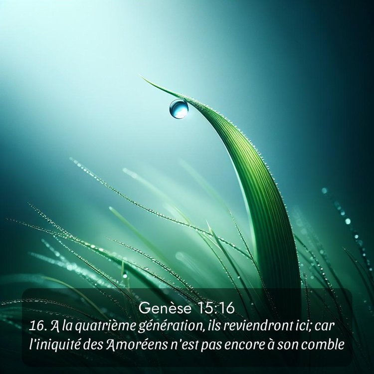 Segond Genèse 15:16