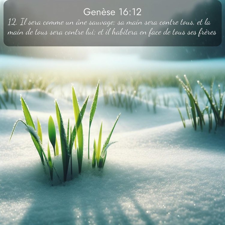 Segond Genèse 16:12