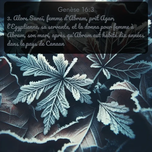 Segond Genèse  ; image nature: image avec le verset biblique :Alors Saraï, femme d&#039;Abram, prit Agar, l&#039;Egyptienne, sa servante, et la donna pour femme à Abram, son mari, après qu&#039;Abram eut habité dix années dans le pays de Canaan. ;  ; 16:3