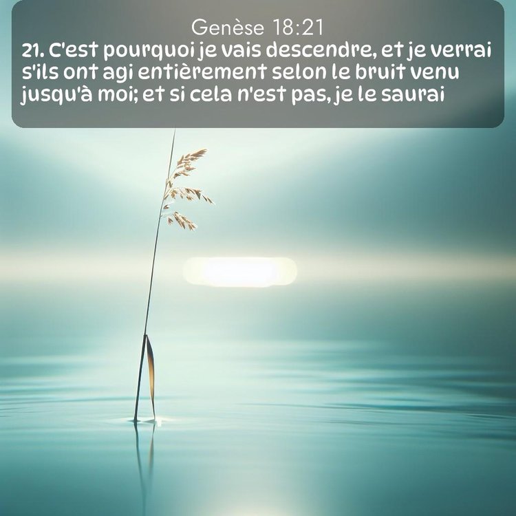 Segond Genèse 18:21