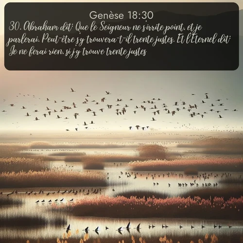 Segond Genèse  ; image nature: image avec le verset biblique :Abraham dit: Que le Seigneur ne s&#039;irrite point, et je parlerai. Peut-être s&#039;y trouvera-t-il trente justes. Et l&#039;Eternel dit: Je ne ferai rien, si j&#039;y trouve trente justes. ;  ; 18:30