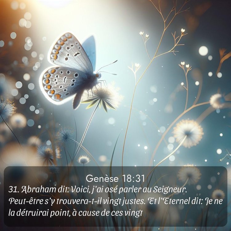 Segond Genèse 18:31