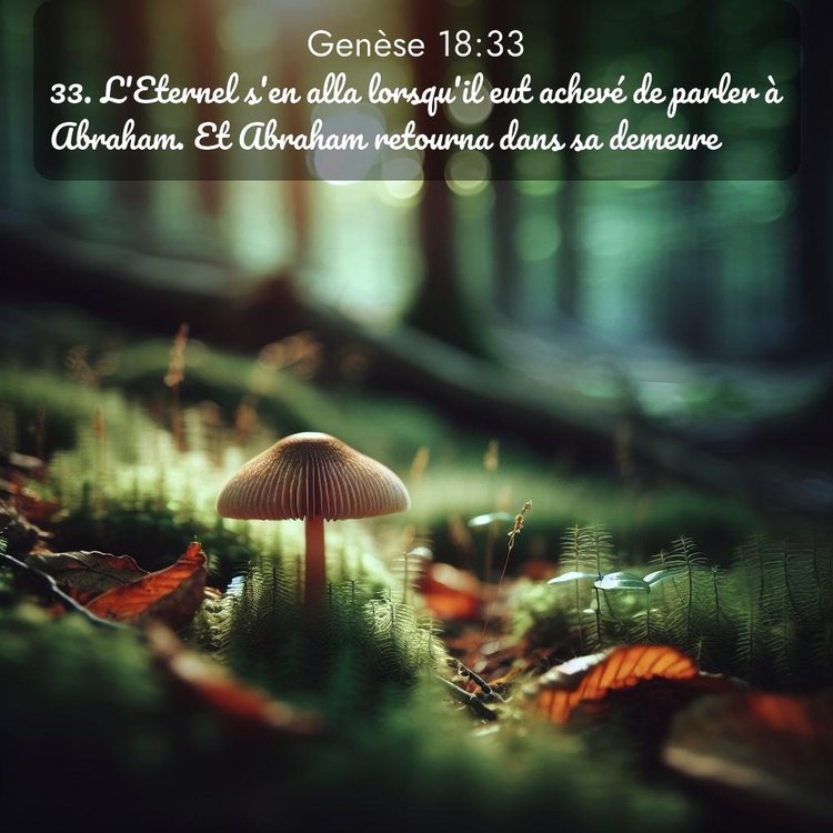 Segond Genèse 18:33