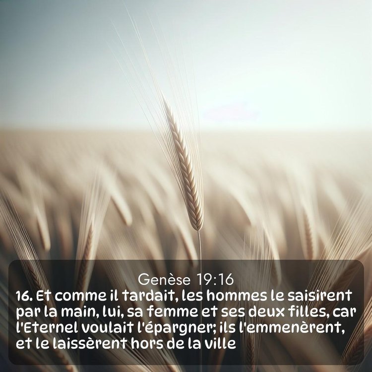 Segond Genèse 19:16