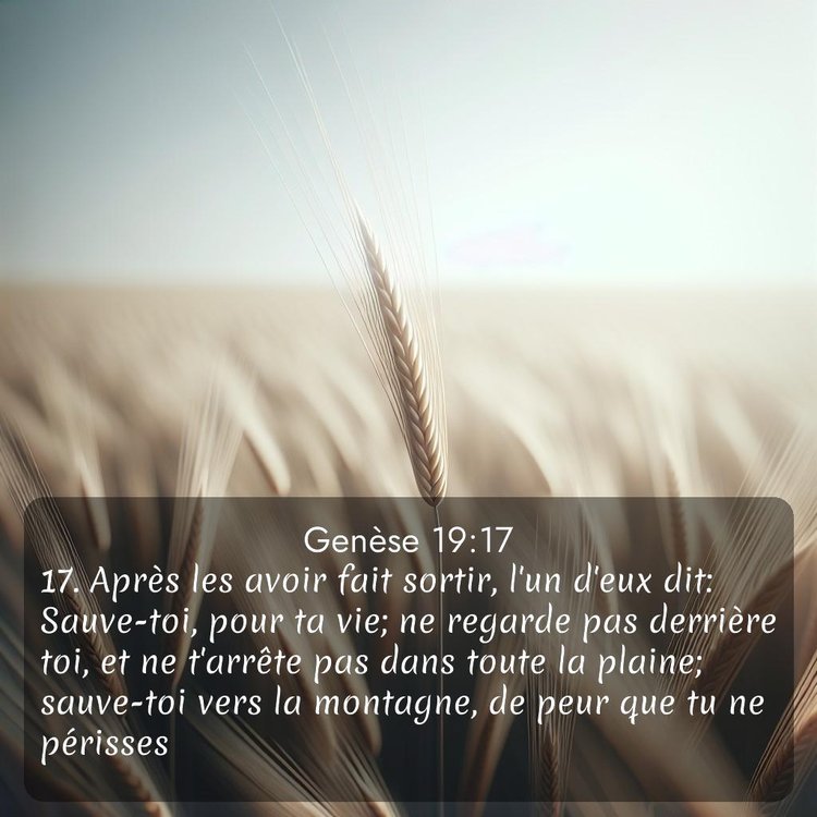 Segond Genèse 19:17