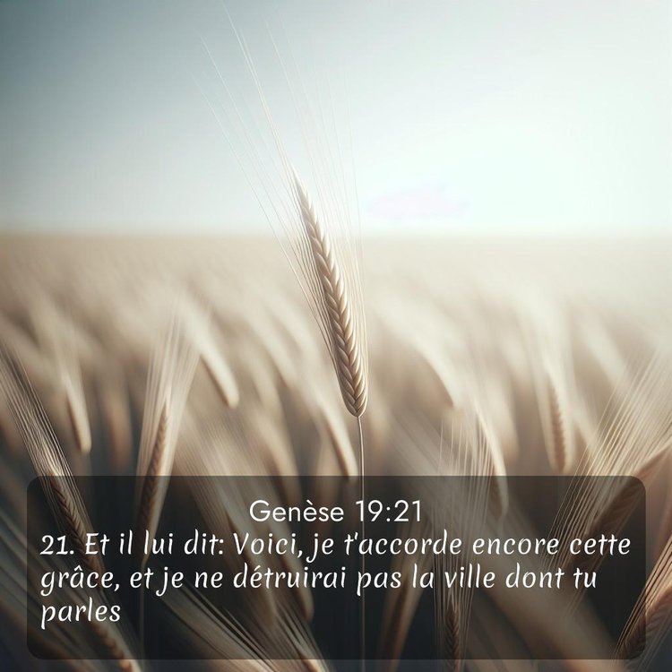 Segond Genèse 19:21