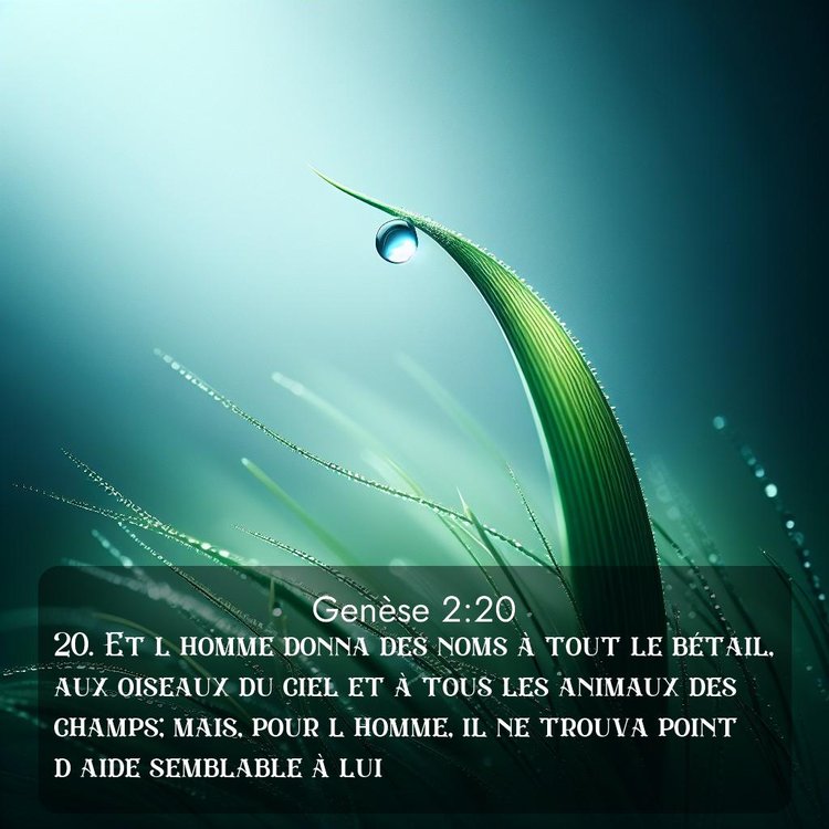 Segond Genèse 2:20