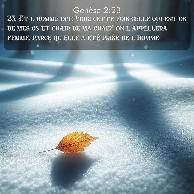 Segond Genèse 2:23