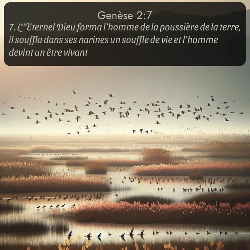 Segond Genèse  ; image nature: image avec le verset biblique :L&#039;Eternel Dieu forma l&#039;homme de la poussière de la terre, il souffla dans ses narines un souffle de vie et l&#039;homme devint un être vivant. ;  ; 2:7