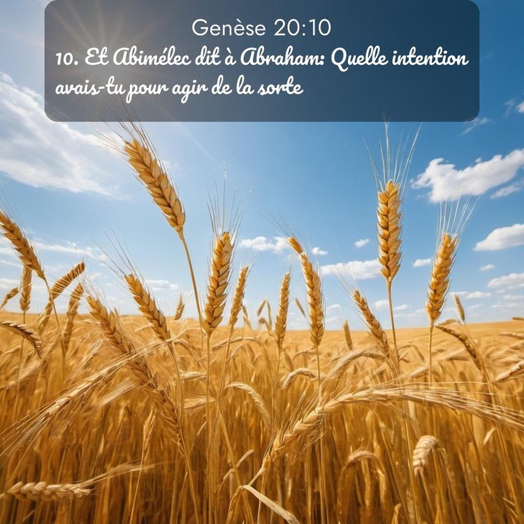 Segond Genèse 20:10