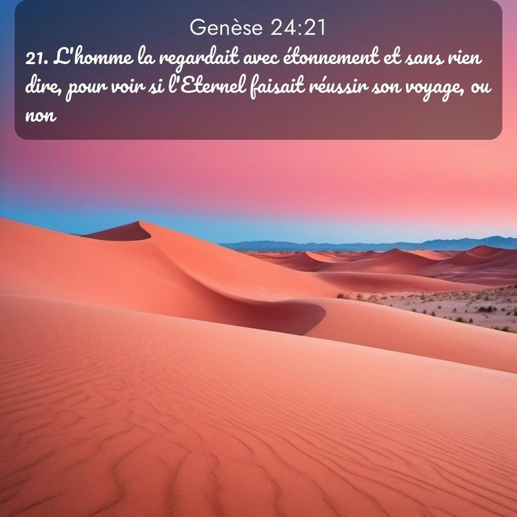 Segond Genèse 24:21