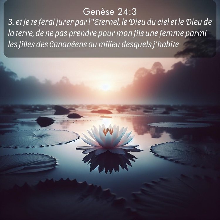 Segond Genèse 24:3