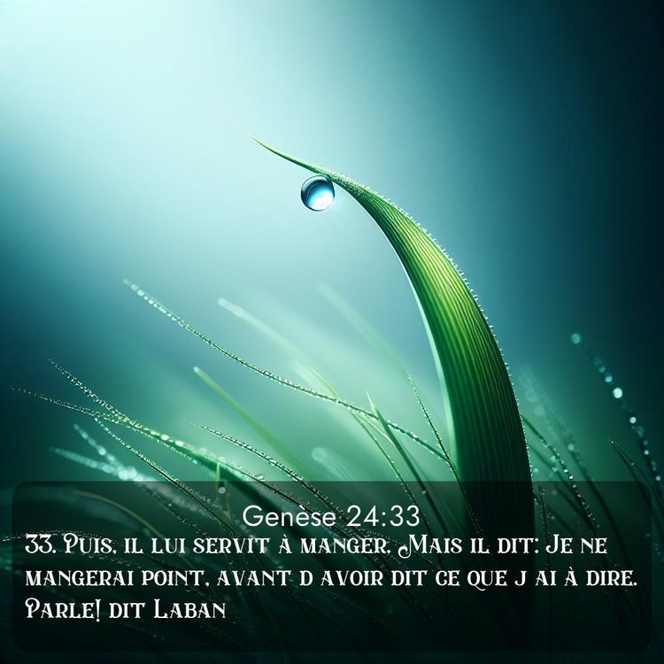 Segond Genèse 24:33