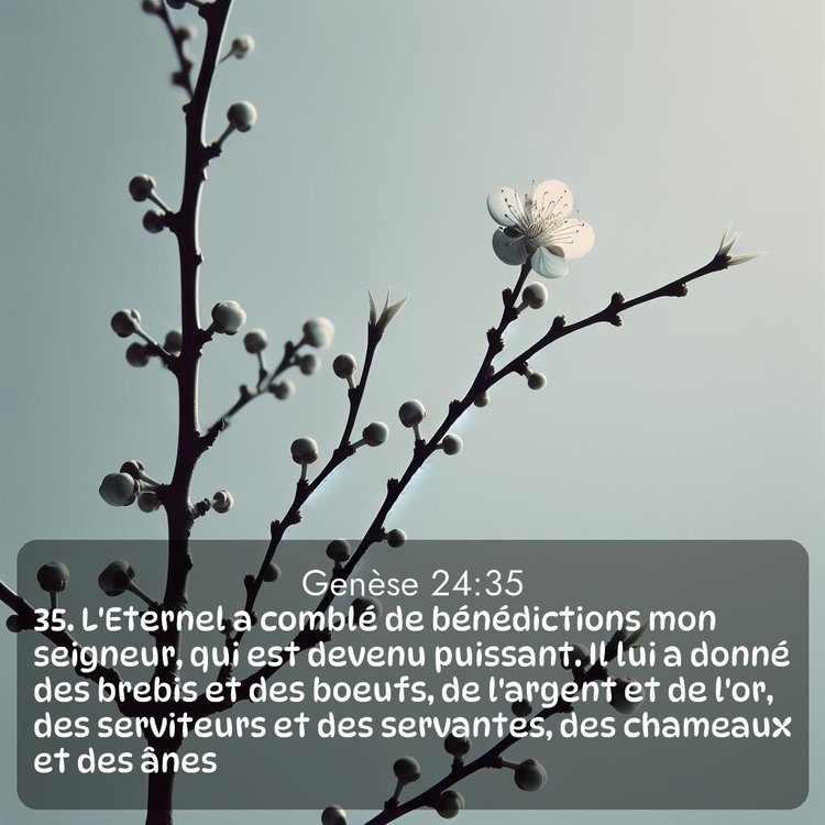 Segond Genèse 24:35