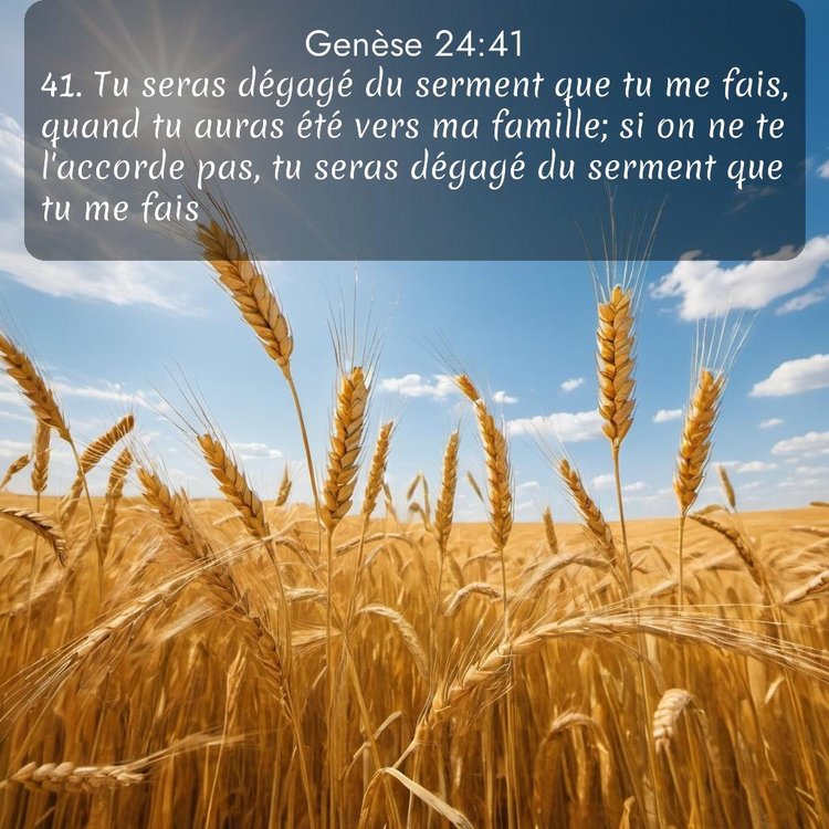 Segond Genèse 24:41