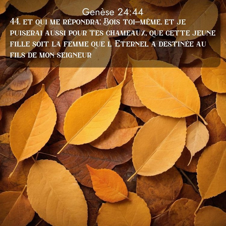 Segond Genèse 24:44