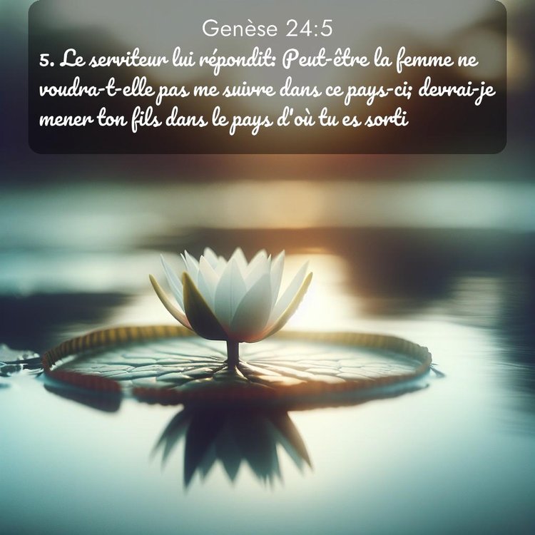 Segond Genèse 24:5