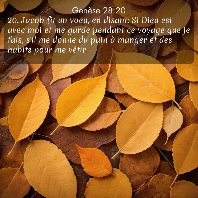 Segond Genèse 28:20