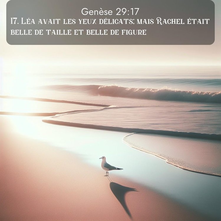 Segond Genèse 29:17