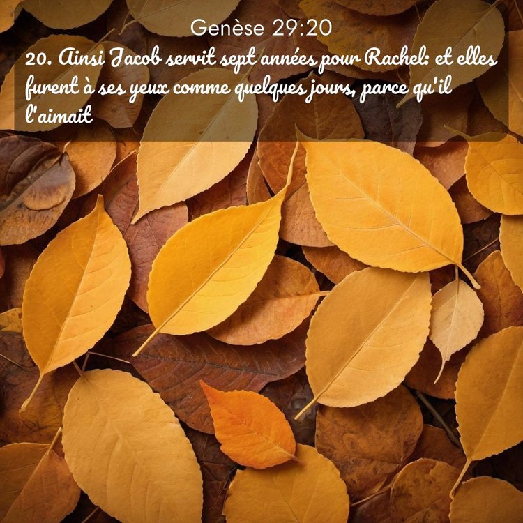 Segond Genèse 29:20