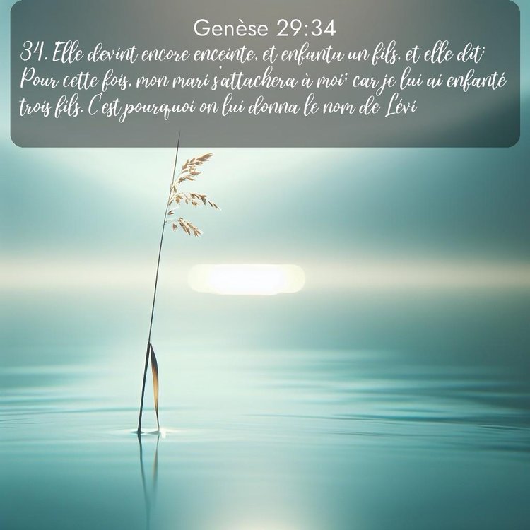 Segond Genèse 29:34