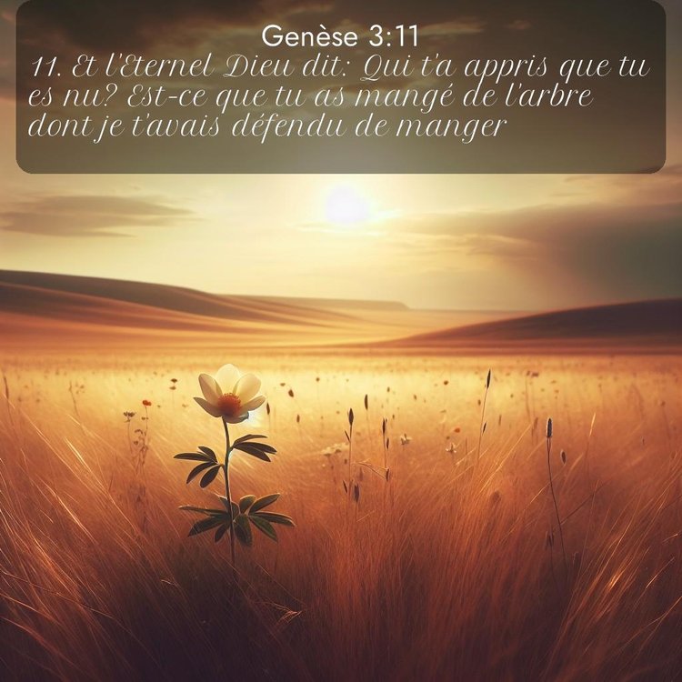 Segond Genèse 3:11