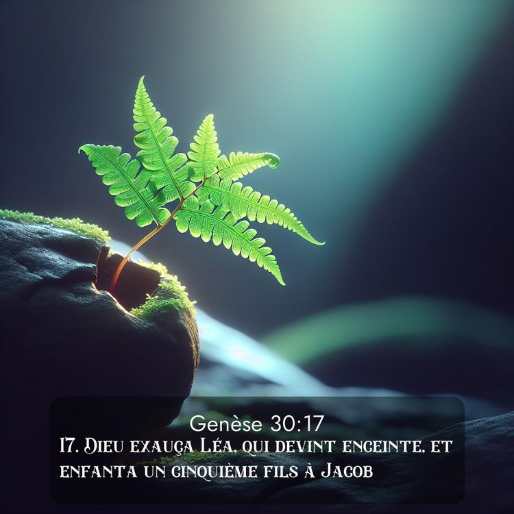 Segond Genèse 30:17