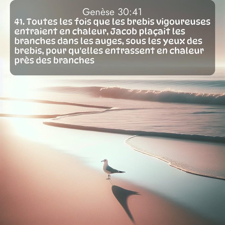 Segond Genèse 30:41