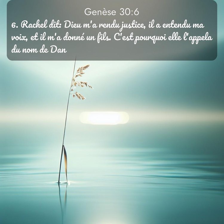 Segond Genèse 30:6