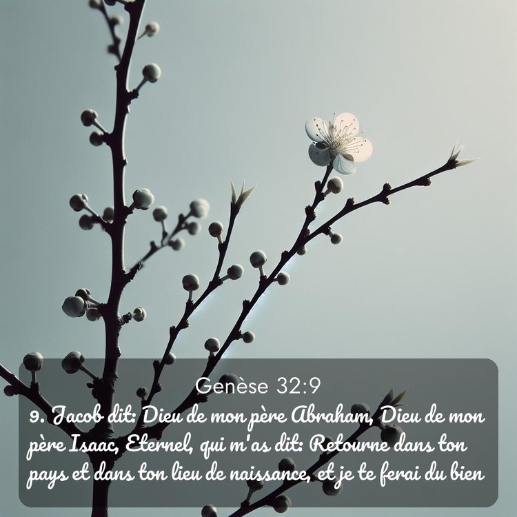 Segond Genèse 32:9