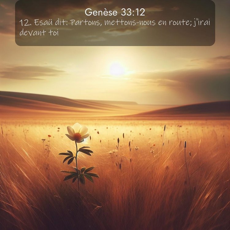 Segond Genèse 33:12