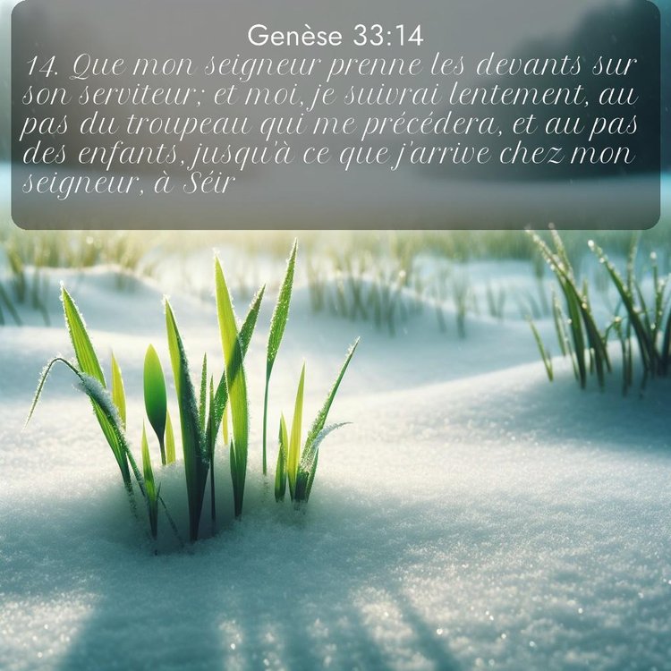 Segond Genèse 33:14