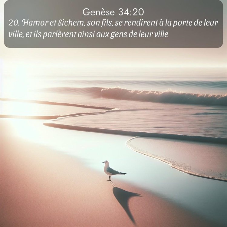 Segond Genèse 34:20