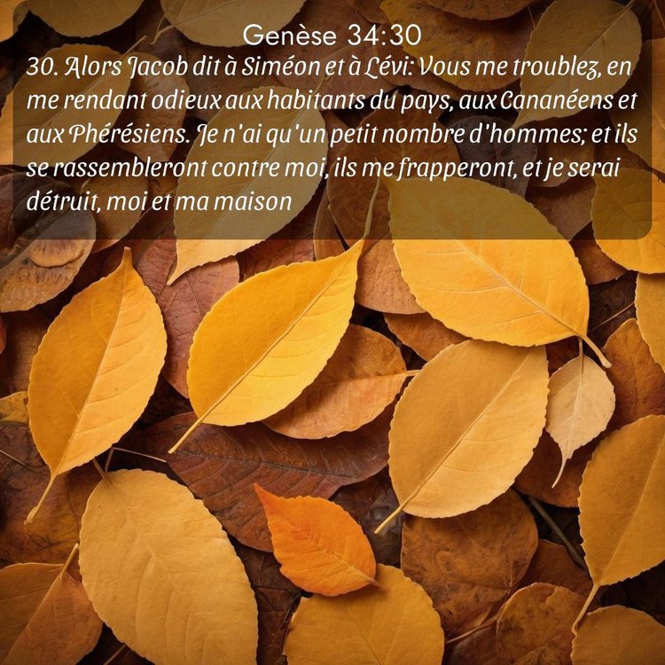 Segond Genèse 34:30