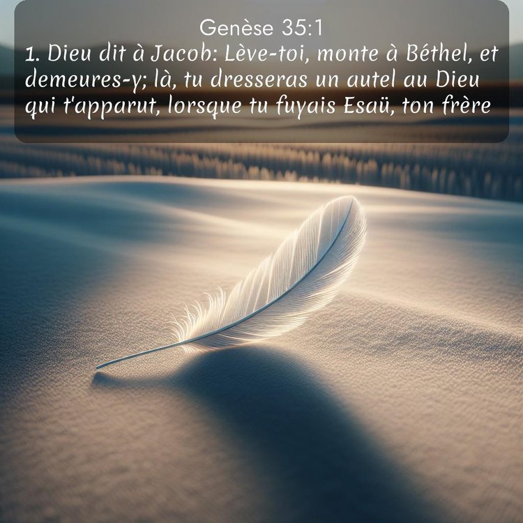 Segond Genèse 35:1