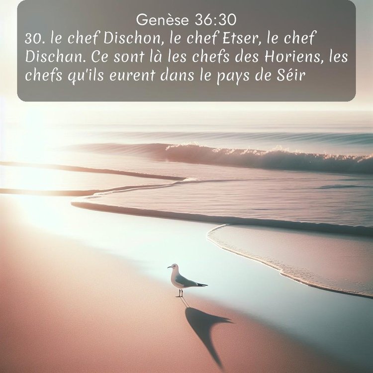 Segond Genèse 36:30