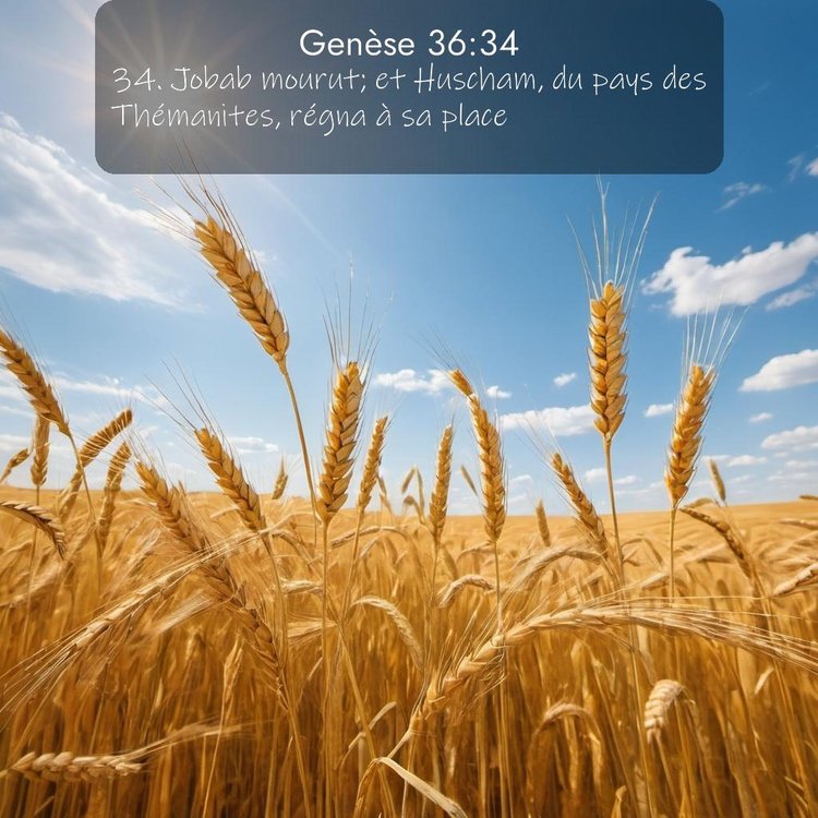 Segond Genèse 36:34