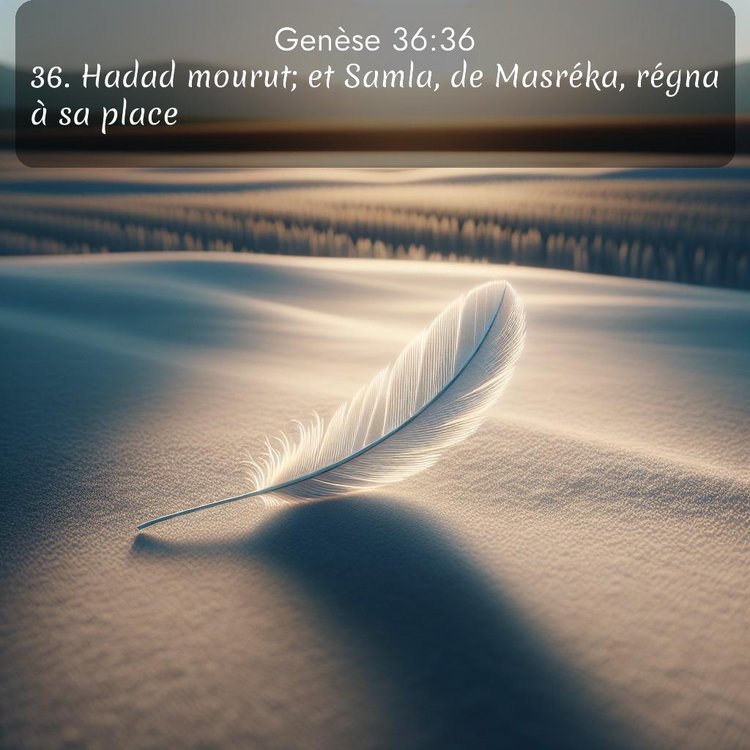 Segond Genèse 36:36