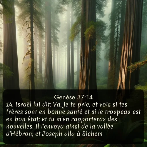 Segond Genèse  ; image nature: image avec le verset biblique :Israël lui dit: Va, je te prie, et vois si tes frères sont en bonne santé et si le troupeau est en bon état; et tu m&#039;en rapporteras des nouvelles. Il l&#039;envoya ainsi de la vallée d&#039;Hébron; et Joseph alla à Sichem. ;  ; 37:14
