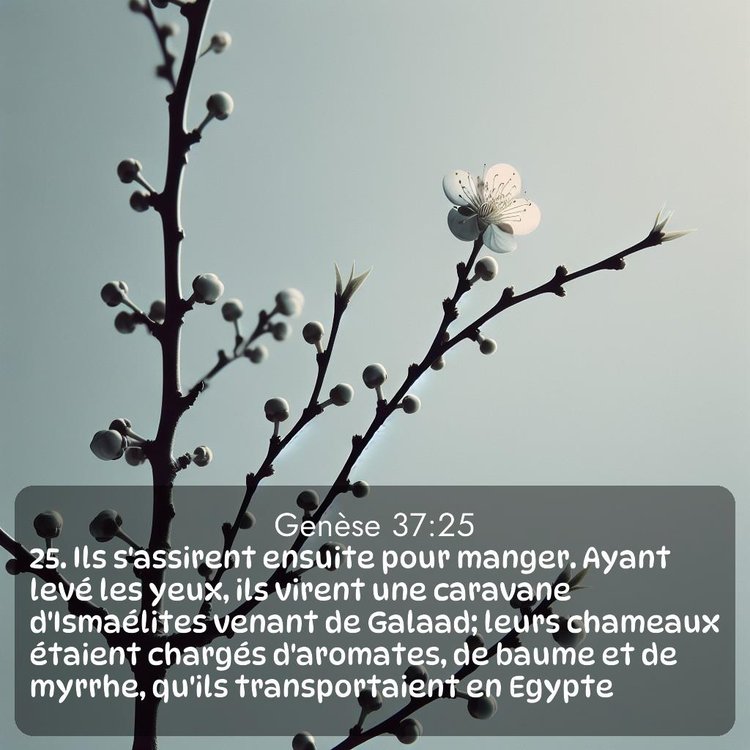 Segond Genèse 37:25