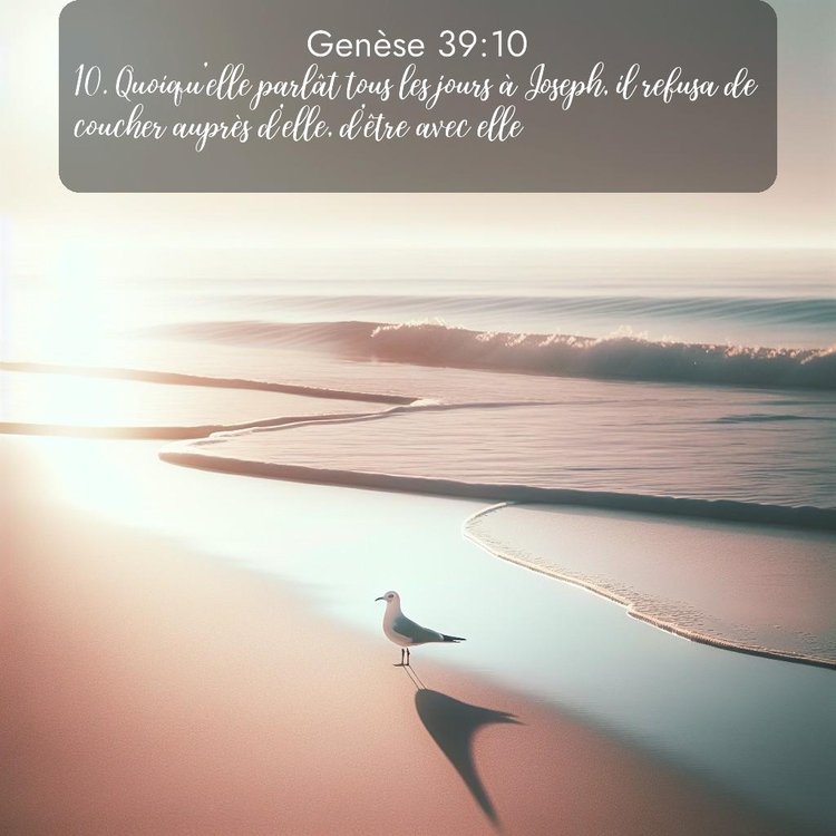 Segond Genèse 39:10