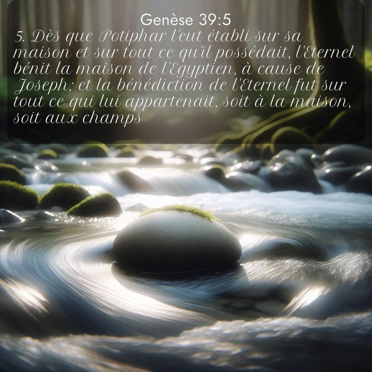 Segond Genèse 39:5